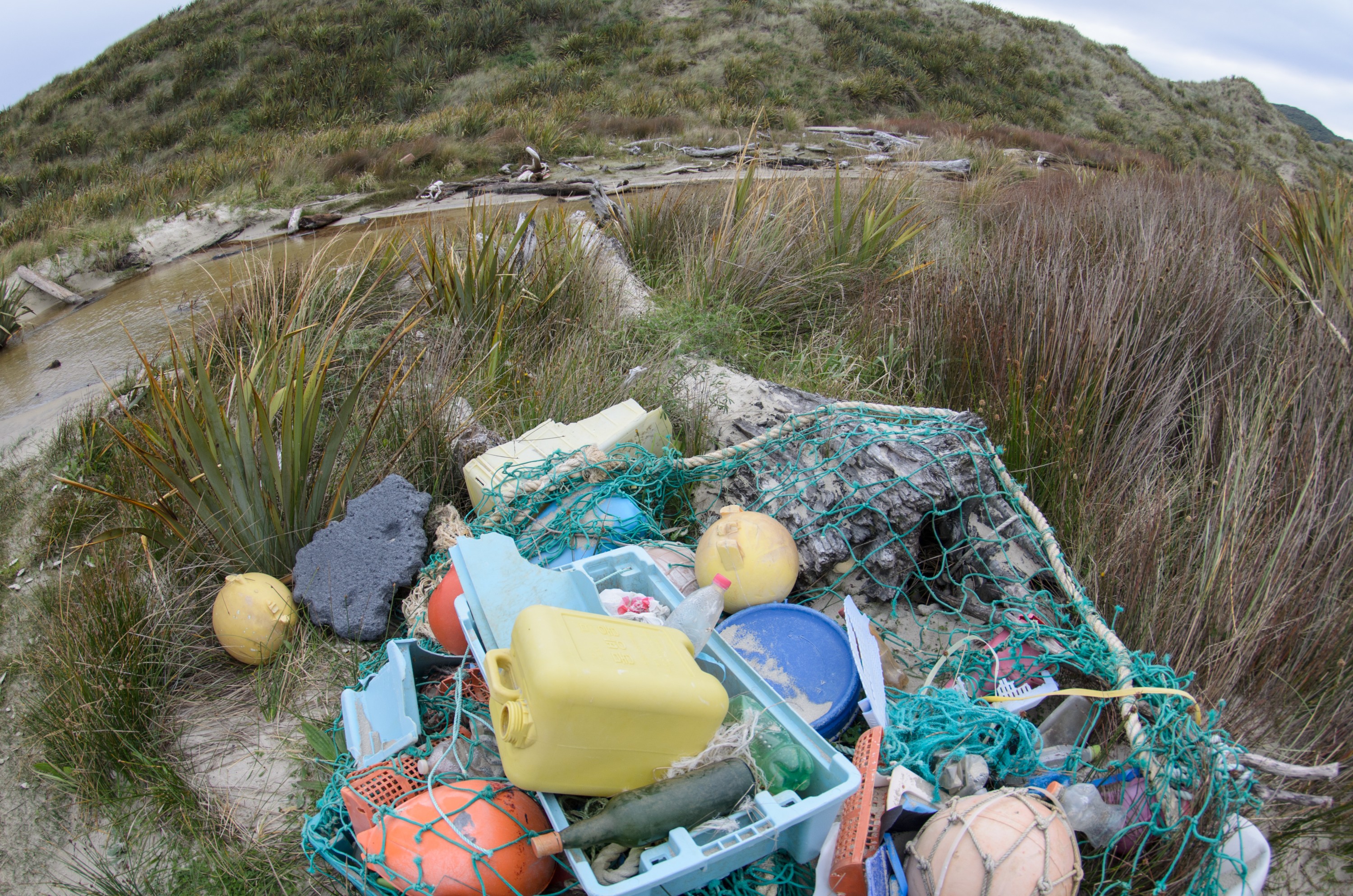 DSC_1986 – Adventure, Bay, Crispin, Island, March 2017, Mason, Mason Bay, National Park, New, New Zealand, Rakiura, Rubbish, South, Stewart, Zealand, fishing gear